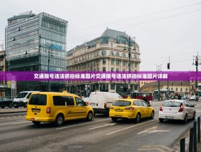 交通限号违法抓拍标准图片交通限号违法抓拍标准图片详解