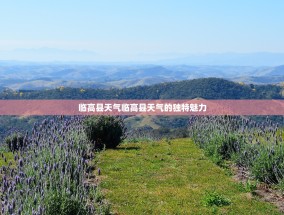 临高县天气临高县天气的独特魅力