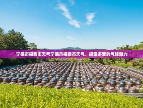 宁德市福鼎市天气宁德市福鼎市天气，探索多变的气候魅力