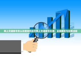 网上交通限号怎么处理如何应对网上交通限号处理，全面解析与处理流程