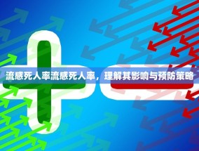 流感死人率流感死人率，理解其影响与预防策略