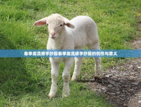春季禽流感手抄报春季禽流感手抄报的创作与意义