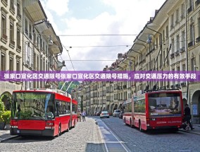 张家口宣化区交通限号张家口宣化区交通限号措施，应对交通压力的有效手段