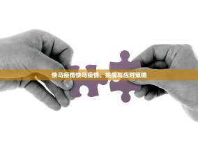 快马疫情快马疫情，挑战与应对策略