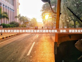 滨海新区车辆交通限号滨海新区车辆交通限号措施，影响、原因及应对策略