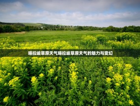 喀拉峻草原天气喀拉峻草原天气的魅力与变幻