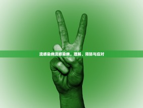 流感染病流感染病，理解、预防与应对