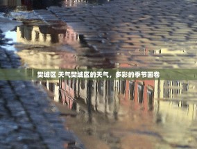 樊城区 天气樊城区的天气，多彩的季节画卷