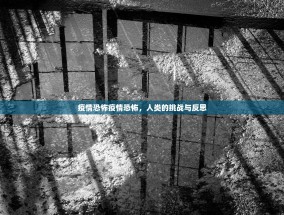 疫情恐怖疫情恐怖，人类的挑战与反思