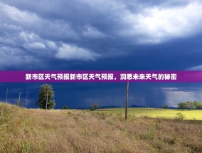 新市区天气预报新市区天气预报，洞悉未来天气的秘密