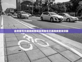 自贡限号交通路线查询自贡限号交通路线查询详解