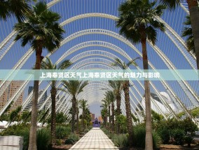 上海奉贤区天气上海奉贤区天气的魅力与影响