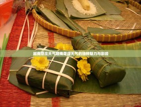 越南芽庄天气越南芽庄天气的独特魅力与影响