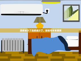 流感减少了流感减少了，影响与未来展望