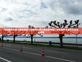 今日随州交通大道限号吗今日随州交通大道是否限号？详解随州交通状况及应对措施