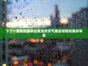 下了一整夜的雨早起就是好天气雨后初晴的美好早晨