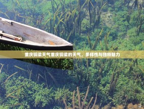 重庆铜梁天气重庆铜梁的天气，多样性与独特魅力