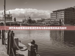 津巴布韦疫情南非疫情津巴布韦与南非疫情的挑战与应对