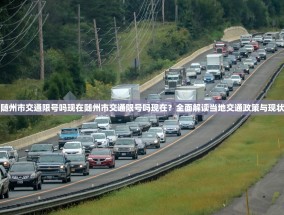 随州市交通限号吗现在随州市交通限号吗现在？全面解读当地交通政策与现状