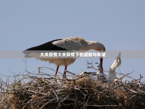 大关疫情大关疫情下的坚韧与希望