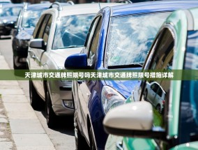 天津城市交通牌照限号吗天津城市交通牌照限号措施详解