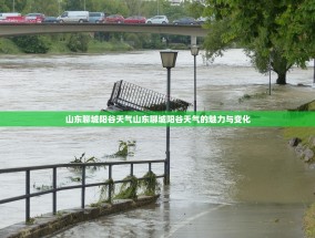 山东聊城阳谷天气山东聊城阳谷天气的魅力与变化