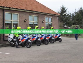 违反限号交通法规罚款违反限号交通法规罚款，代价与教训