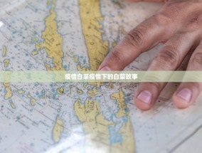 疫情白菜疫情下的白菜故事