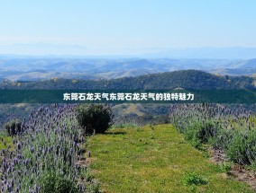 东莞石龙天气东莞石龙天气的独特魅力