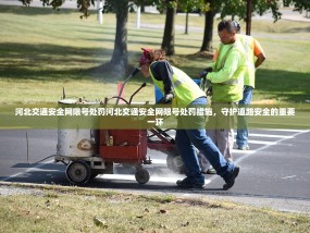 河北交通安全网限号处罚河北交通安全网限号处罚措施，守护道路安全的重要一环