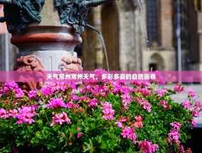 天气常州常州天气，多彩多姿的自然画卷