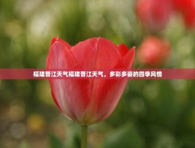 福建晋江天气福建晋江天气，多彩多姿的四季风情