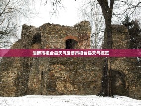 淄博市桓台县天气淄博市桓台县天气概览