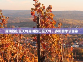 昆明西山区天气昆明西山区天气，多彩的季节画卷