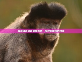 香港猪流感香港猪流感，应对与防控的挑战