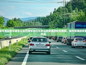 限号无公共交通怎么处罚限号出行与无公共交通的处罚措施，城市管理的双重挑战