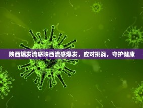 陕西爆发流感陕西流感爆发，应对挑战，守护健康