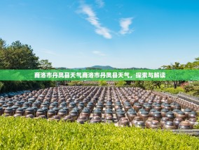 商洛市丹凤县天气商洛市丹凤县天气，探索与解读