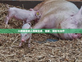 人得猪流感人得猪流感，理解、预防与治疗