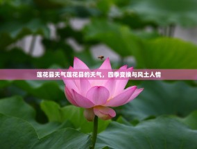 莲花县天气莲花县的天气，四季变换与风土人情