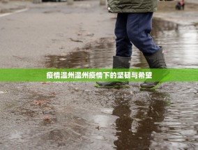 疫情温州温州疫情下的坚韧与希望