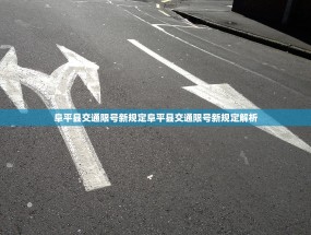 阜平县交通限号新规定阜平县交通限号新规定解析