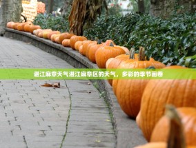 湛江麻章天气湛江麻章区的天气，多彩的季节画卷