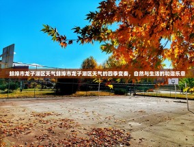 蚌埠市龙子湖区天气蚌埠市龙子湖区天气的四季变奏，自然与生活的和谐乐章