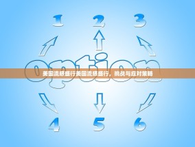 美国流感盛行美国流感盛行，挑战与应对策略