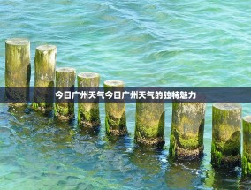 今日广州天气今日广州天气的独特魅力