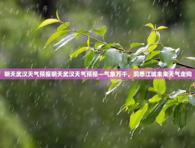 明天武汉天气预报明天武汉天气预报—气象万千，洞悉江城未来天气走向