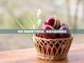 疫情 玫瑰疫情下的玫瑰，希望与坚韧的象征
