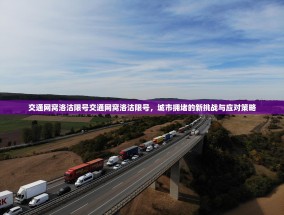 交通网窝洛沽限号交通网窝洛沽限号，城市拥堵的新挑战与应对策略