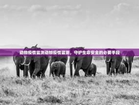 动物疫情监测动物疫情监测，守护生命安全的必要手段